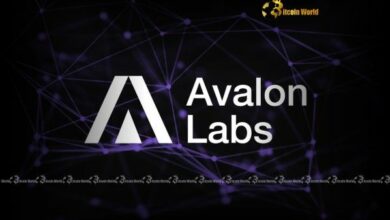 "أفالون لابس: رائدة في توفير الوضوح التنظيمي الحاسم لصناعة العملات الرقمية - اكتشف كيف!"