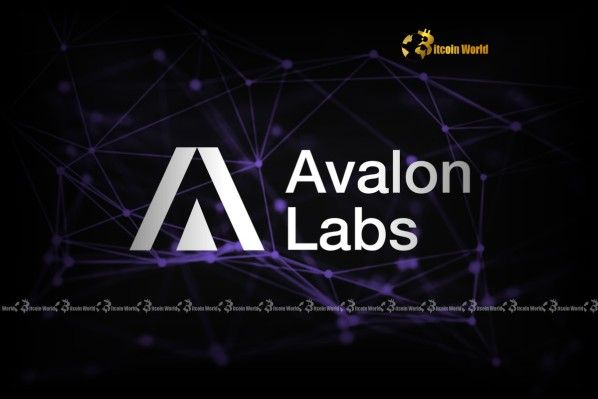 "أفالون لابس: رائدة في توفير الوضوح التنظيمي الحاسم لصناعة العملات الرقمية - اكتشف كيف!"