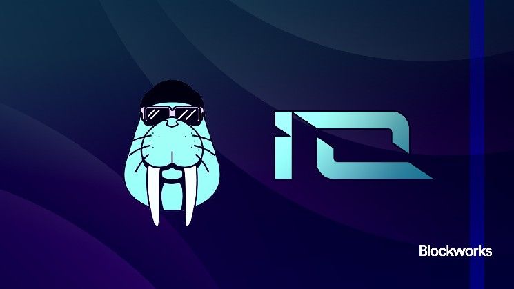 "Walrus وIO يقدمان وحدات معالجة الرسومات (GPUs) والتخزين اللامركزي لمطوري الذكاء الاصطناعي: اكتشف المستقبل الآن!"