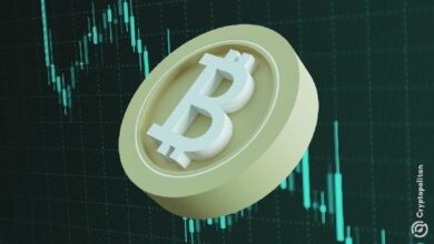 حوت آخر في "هابرليكيد" يتحول إلى مراكز بيع على البيتكوين – تعرف على التفاصيل الآن!