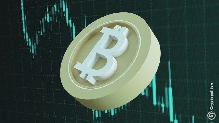 حوت آخر في "هابرليكيد" يتحول إلى مراكز بيع على البيتكوين – تعرف على التفاصيل الآن!