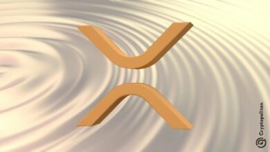 ريبل تموّل تعليم البلوك تشين في منطقة آسيا والمحيط الهادئ بمبلغ 5 ملايين دولار – اكتشف التفاصيل الآن!