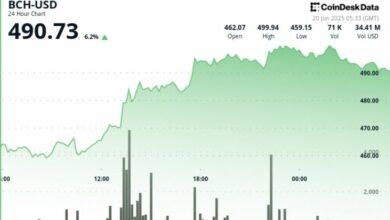**بتكوين كاش يُفاجئ الجميع بصعود قوي قرب 500 دولار مع ارتفاع أحجام التداول 500% – اكتشف التفاصيل الآن!**