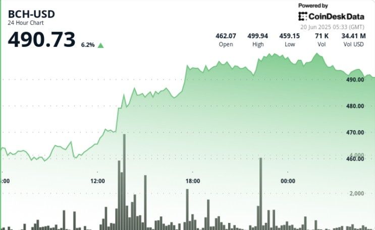 **بتكوين كاش يُفاجئ الجميع بصعود قوي قرب 500 دولار مع ارتفاع أحجام التداول 500% – اكتشف التفاصيل الآن!**