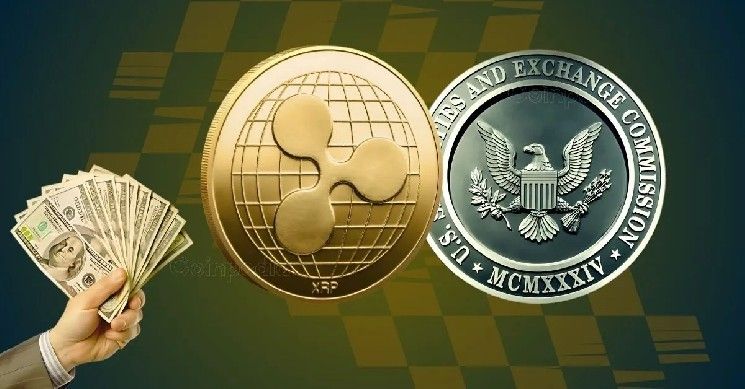 تحديث جديد في قضية ريبل: المحامي غير واثق من أحدث ملف.. إليك السبب (تعرف على التفاصيل الآن!)