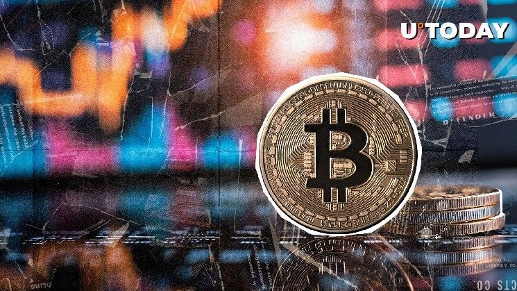 "بتكوين (BTC) يرتفع 240% في تصفيات المراكز القصيرة خلال 4 ساعات فقط – اكتشف التفاصيل الآن!"