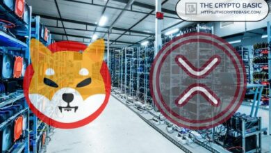 سعر شيبا إنو إذا وصل إلى القيمة السوقية القياسية لـ XRP – اكتشف التوقعات الآن!