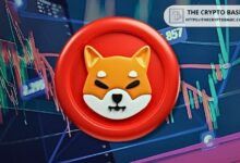 "هذا هو الجدول الزمني المتوقع لوصول سعر Shiba Inu إلى 0.00024 دولار أو 0.0058 دولار – اكتشف التوقعات الآن!"