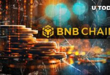 "بينانس توقف مؤقتًا عمليات سحب سلسلة BNB: تعرف على الموعد الآن!"