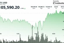 امتلاك بيتكوين واحدة هو الحلم الأمريكي الجديد، وفقًا لمدير محفظة Bitwise – اكتشف السبب الآن!