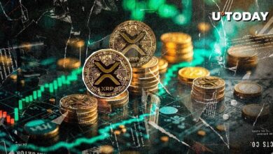 "إضافة 9,000 محفظة XRP جديدة في 48 ساعة – اكتشف التفاصيل الآن!"
