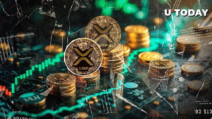 "إضافة 9,000 محفظة XRP جديدة في 48 ساعة – اكتشف التفاصيل الآن!"
