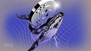 نحو 30% من جميع عملات البيتكوين قد تصبح "قديمة" بحلول 2035 – لماذا يهمك ذلك؟