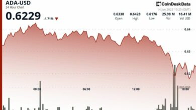 "عملة ADA تتأرجح حول 0.62 دولار مع إطلاق منتج مؤسسي جديد يخفف ضغط الحيتان – تعرف على التفاصيل!"