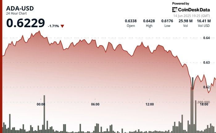 "عملة ADA تتأرجح حول 0.62 دولار مع إطلاق منتج مؤسسي جديد يخفف ضغط الحيتان – تعرف على التفاصيل!"