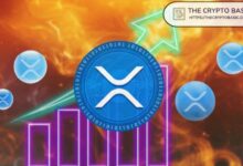 المحلل يكشف عن الإشارة النهائية لارتفاع سعر XRP قبل الانفجار السعري المتوقع – تعرف عليها الآن!