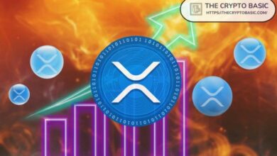 المحلل يكشف عن الإشارة النهائية لارتفاع سعر XRP قبل الانفجار السعري المتوقع – تعرف عليها الآن!