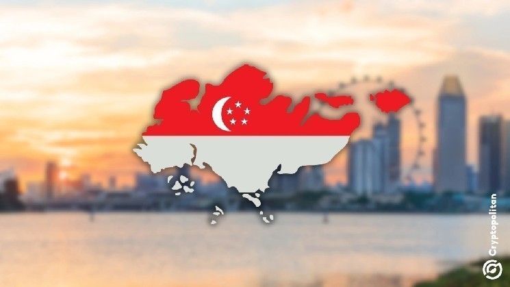 تحذير سنغافورة من العملات المشفرة يدفع المستثمرين إلى الهروب من المنصات – اكتشف الأسباب الآن!