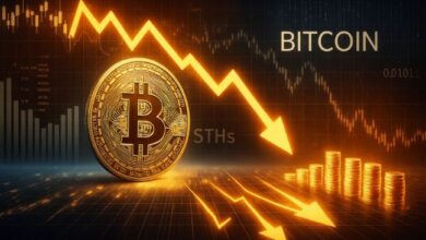 "مستثمرو البيتكوين قصيرو الأجل يستسلمون: 14,700 بيتكوين تنتقل إلى البورصات بخسارة – اكتشف التفاصيل الآن!"