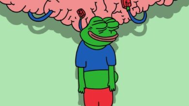 "بيبي تشحن طاقتها: اختبار ناجح لمنطقة الاختراق يمهد الطريق لارتفاعات جديدة – اكتشف التوقعات الآن!"