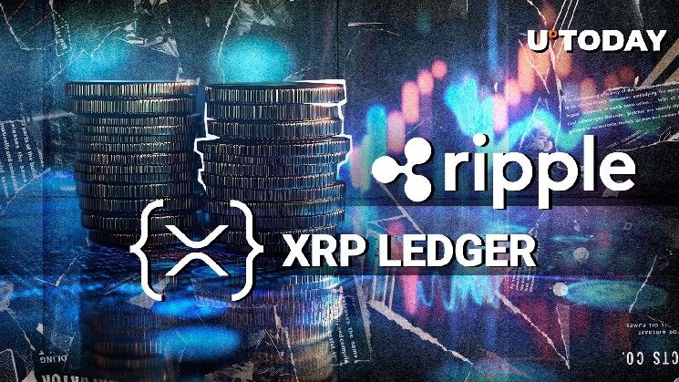 "ريبل تطلق بورصة لا مركزية مرخصة على دفتر الأستاذ XRP.. الرئيس التنفيذي لـ SBI يشارك رؤيته الحصرية!"