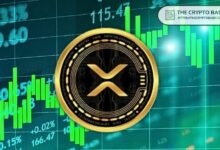 "مستثمر ملاك يكشف: لا يحتاج الـ XRP إلى 10,000 دولار لتغيير حياتك – اكتشف السبب الآن!"