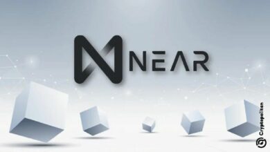 توقعات سعر NEAR Protocol 2025-2031: هل NEAR استثمار جيد؟ اكتشف الإجابة الآن!