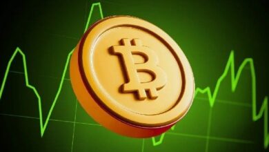 إلى أي مستوى قد ينخفض سعر البيتكوين خلال انهيار سوق العملات الرقمية؟ اكتشف الآن!