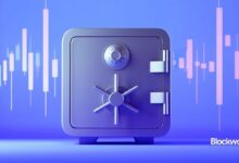 "دليل مايكروستراتيجي: الإيجابيات، السلبيات، والمفاجآت الصادمة!"