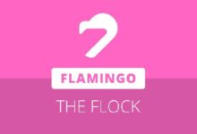 "فلامنغو فاينانس تطلق برنامج THE FLOCK وتُنهي برنامج حاملي FLM – اكتشف التحديثات الآن!"