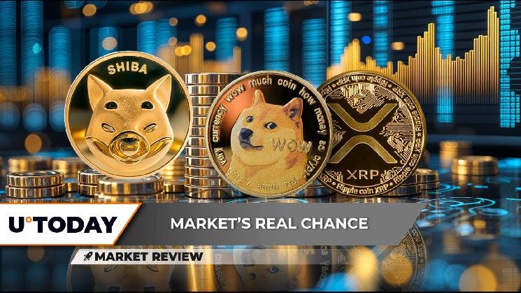 **شيبا إينو (SHIB): مستويان رئيسيان للمتابعة – دوجكوين (DOGE): هل أُلغي التقاطع الذهبي الصغير؟ – XRP: إشارة سعرية قوية (تعرف عليها الآن!)**