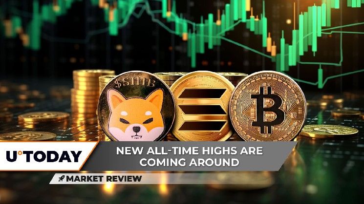 هل حقق سولانا (SOL) تقاطعًا ذهبيًا؟ شيبا إينو (SHIB) قد تصل إلى 0.00002 دولار، وهل سيبلغ البيتكوين (BTC) 120,000 دولار كقمة جديدة؟ اكتشف الآن!