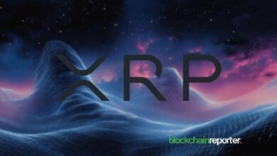 "مؤشرات On-Chain تشير إلى زخم جديد لـ XRP بينما يتباطأ سولانا – اكتشف التفاصيل الآن!"