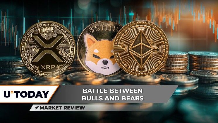 "XRP: أقوى مستوى عند 2 دولار هنا، Shiba Inu (SHIB): حجم التداول عند الصفر، Ethereum (ETH) عالق تمامًا – اكتشف التفاصيل الآن!"