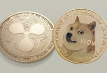"Coinbase تطلق عملات XRP و Dogecoin المغلفة على شبكة Base – اكتشف الميزات الجديدة الآن!"