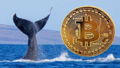 الحيتان تسحب البيتكوين من البورصات بمستويات قياسية – ماذا يعني ذلك للمستثمرين؟