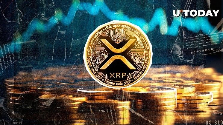79% من حاملي XRP يحققون أرباحًا مع ارتفاع حاد في العناوين النشطة – اكتشف التفاصيل الآن!
