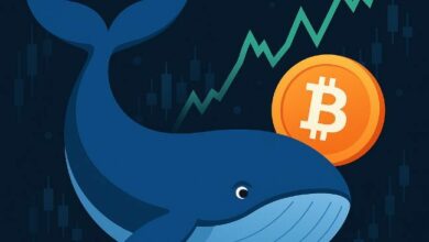 هل يمكن للمستثمرين الصغار منافسة "حيتان" العملات الرقمية؟ اكتشف الإجابة الآن!