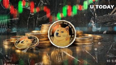نشاط الحيتان في دوجكوين (DOGE) يتجاوز 23.35 مليار دولار خلال 24 ساعة – اكتشف التفاصيل الآن!