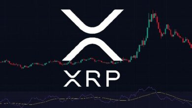 "هل يجب أن تشتري XRP قبل الصعود الكبير القادم؟ اكتشف الآن!"