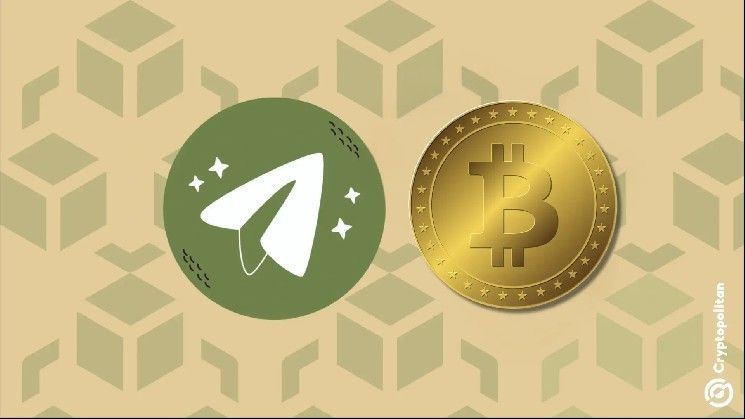 هل يمكن لأسواق الضمانات الرقمية أن تصمد دون حماية تيليجرام؟ اكتشف الإجابة الآن!
