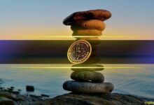 "تحليل: عام 2025 'الممل' للبيتكوين يخفي أهم تحول في تاريخ العملات الرقمية – اكتشف السبب الآن!"