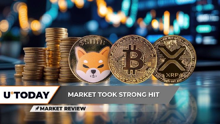 "شيبا إينو (SHIB): انهيار حاد الآن، قفزة هائلة للبيتكوين (BTC)، وإكس آر بي (XRP): وصفة للارتداد إلى 3 دولارات – اكتشف التفاصيل!"