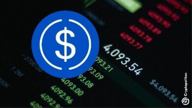 ارتفع سهم Circle بنسبة 18% ليصل إلى مستوى قياسي جديد عند 180 دولارًا – اكتشف التفاصيل الآن!