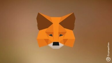 "MetaMask قد تطلق عملتها الرقمية قريبًا – تعرف على التفاصيل الآن!"