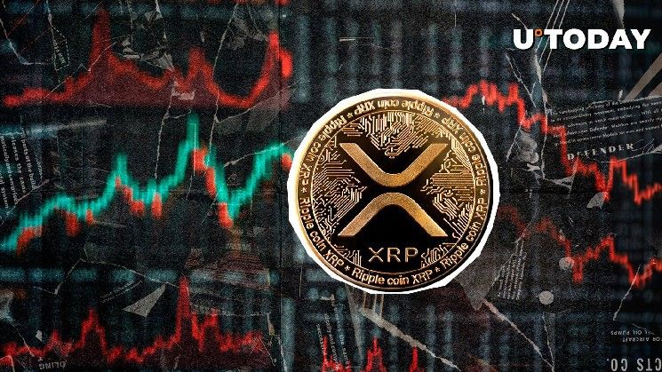 "80% من حاملي XRP يحققون أرباحًا مع تحول معدل التمويل إلى الإيجابي – اكتشف التفاصيل الآن!"