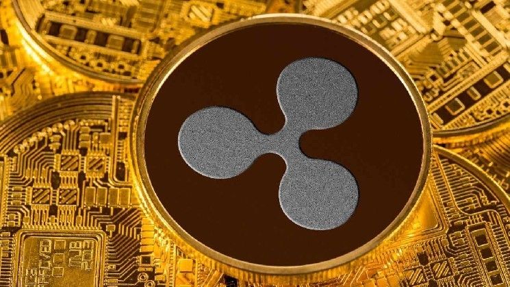"XRP وRLUSD يشعلان ثورة المدفوعات الواقعية لدى 20 مليون تاجر – اكتشف التفاصيل الآن!"