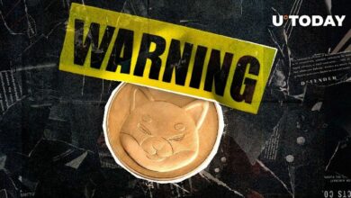 "رسالة عاجلة لـ Shiba Inu تثير القلق.. ماذا حدث؟ اكتشف التفاصيل الآن!"