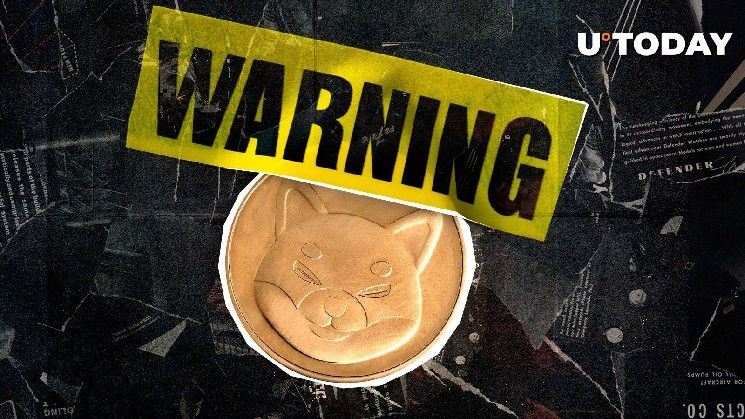 "رسالة عاجلة لـ Shiba Inu تثير القلق.. ماذا حدث؟ اكتشف التفاصيل الآن!"