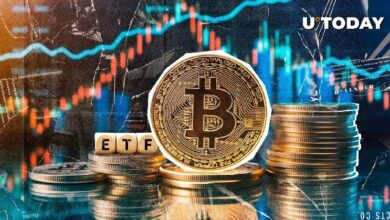 تسجل صناديق البيتكوين ETF تدفقات بقيمة 389 مليون دولار رغم تصحيح سوق العملات الرقمية - اكتشف التفاصيل الآن!